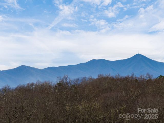 51 Bridgeway Drive 12, Candler, NC 28715