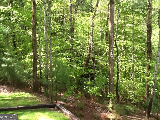290 Ruby Lane 3328R, Ellijay, GA 30540