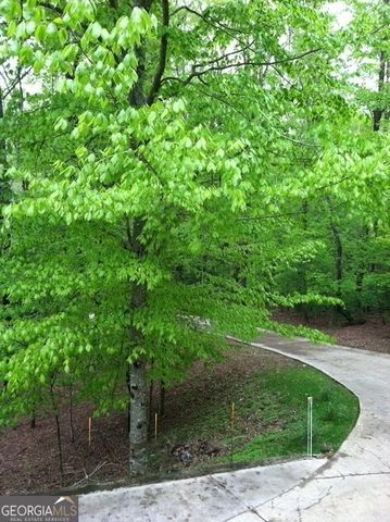 290 Ruby Lane 3328R, Ellijay, GA 30540