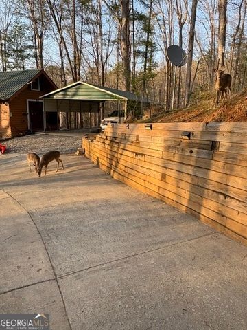 290 Ruby Lane 3328R, Ellijay, GA 30540