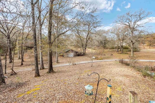 780 TALLADEGA CREEK ROAD, Talladega, AL 35160