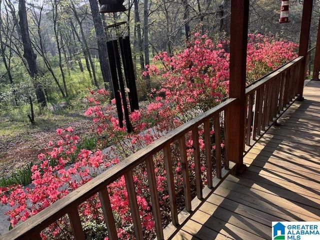 780 TALLADEGA CREEK ROAD, Talladega, AL 35160