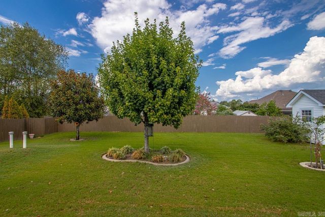 3509 Buckeye Cove, Benton, AR 72015