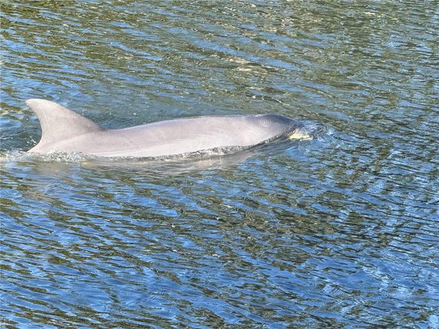 21 CORONA COURT, Palm Coast, FL 32137