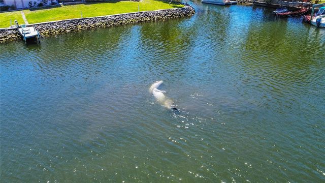 3861 N RINGDOVE POINT, Crystal River, FL 34428