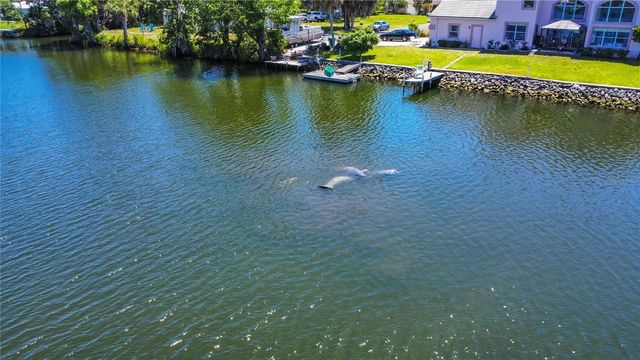 3861 N RINGDOVE POINT, Crystal River, FL 34428