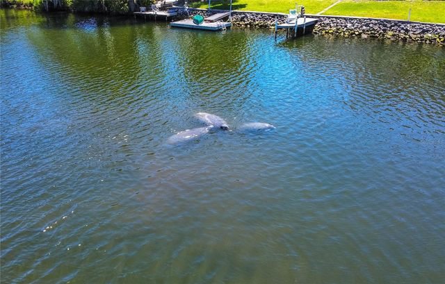 3861 N RINGDOVE POINT, Crystal River, FL 34428