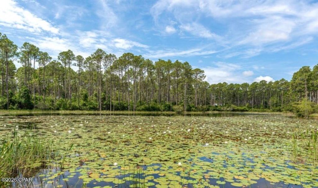 Image 15 of property listing at 7642 Coastal Hammock Trail, Panama City Beach, FL 32413