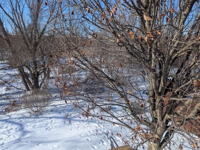 3816 Tickseed Drive, Zion, IL 60099