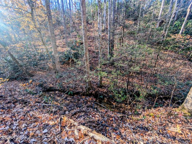 Lot 1908 Rose Pass, Sevierville, TN 37876