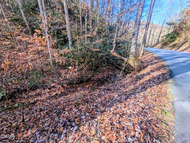 Lot 1908 Rose Pass, Sevierville, TN 37876