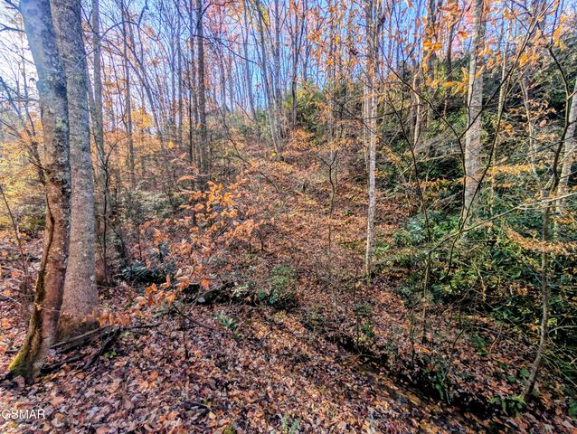 Lot 1908 Rose Pass, Sevierville, TN 37876