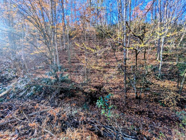 Lot 1908 Rose Pass, Sevierville, TN 37876