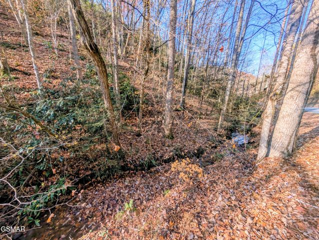 Lot 1908 Rose Pass, Sevierville, TN 37876