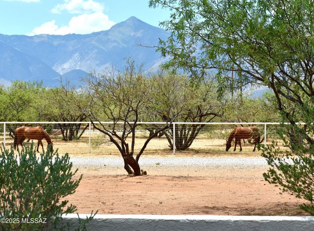 7117 S Oleander Lane, Hereford, AZ 85615