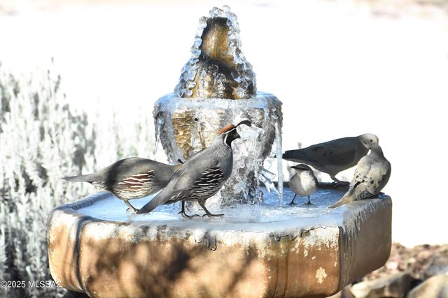 7117 S Oleander Lane, Hereford, AZ 85615