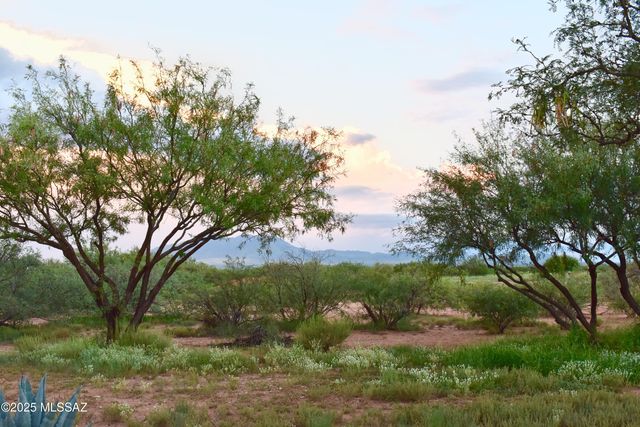 7117 S Oleander Lane, Hereford, AZ 85615