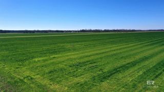 Lot 15 Davis Pond Road, Atmore, AL 36502