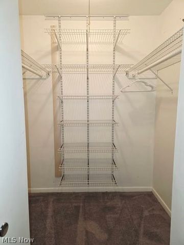 9660 Cove Drive F-16, North Royalton, OH 44133