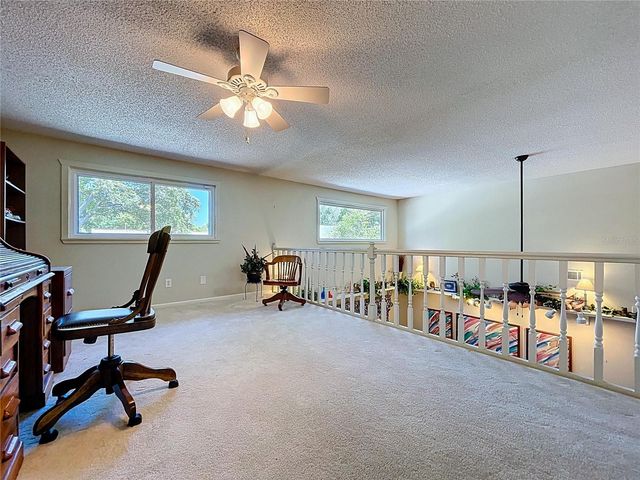 14711 TALL TREE DRIVE, Lutz, FL 33559