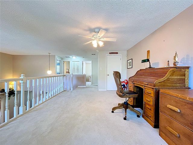 14711 TALL TREE DRIVE, Lutz, FL 33559