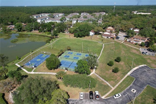 14711 TALL TREE DRIVE, Lutz, FL 33559