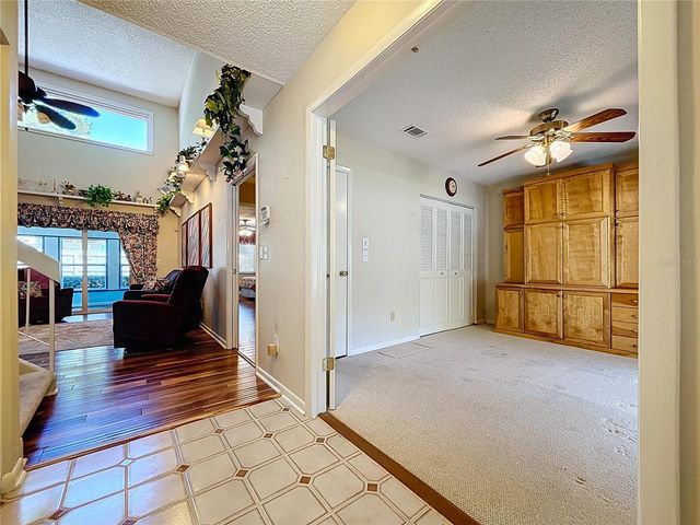 14711 TALL TREE DRIVE, Lutz, FL 33559