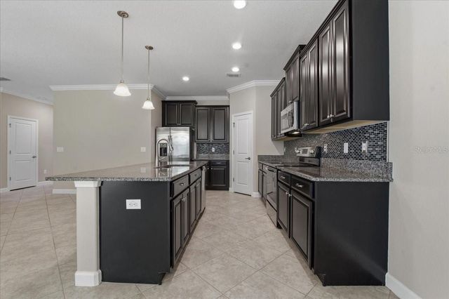 1695 LUDINGTON AVENUE, Wesley Chapel, FL 33543