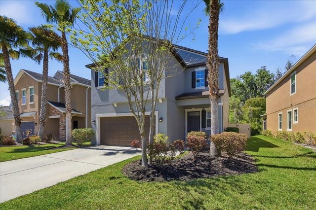 1695 LUDINGTON AVENUE, Wesley Chapel, FL 33543