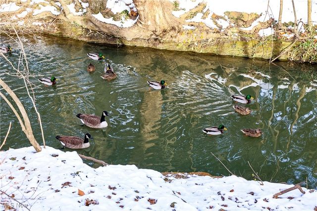 5979 Twin Lakes Drive, Parma, OH 44129