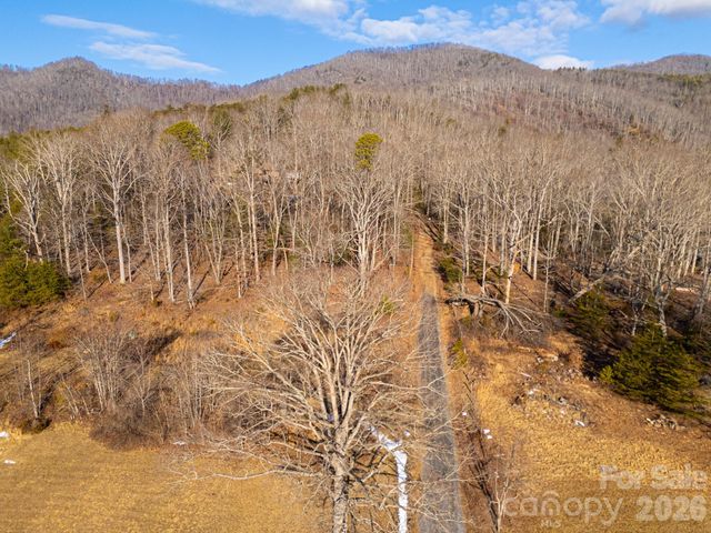 TBD Mystic View Lane, Black Mountain, NC 28711