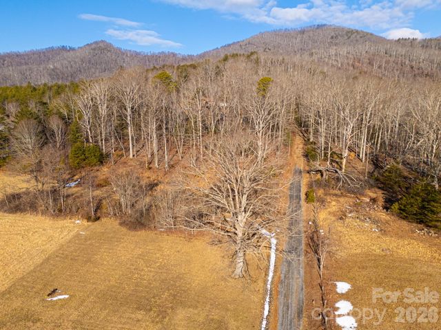 TBD Mystic View Lane, Black Mountain, NC 28711