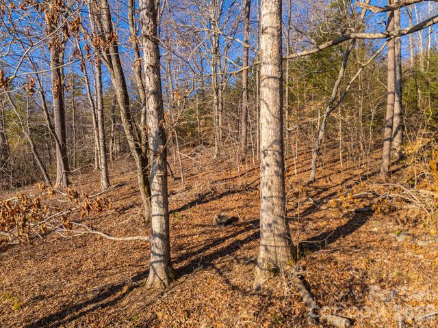 TBD Mystic View Lane, Black Mountain, NC 28711