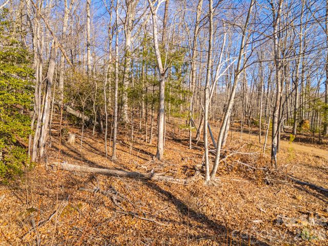 TBD Mystic View Lane, Black Mountain, NC 28711