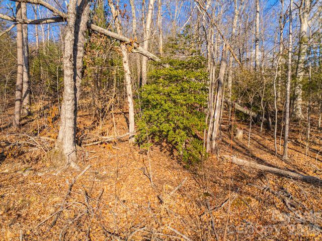 TBD Mystic View Lane, Black Mountain, NC 28711