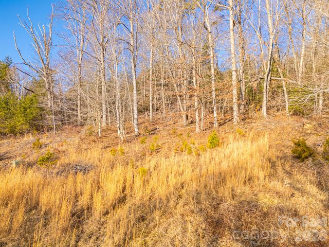 TBD Mystic View Lane, Black Mountain, NC 28711