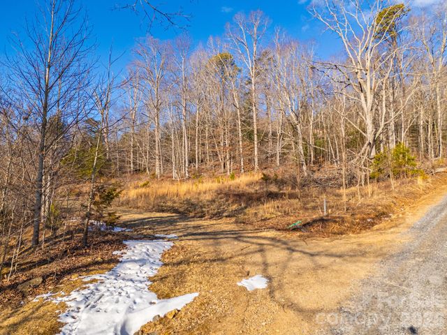 TBD Mystic View Lane, Black Mountain, NC 28711