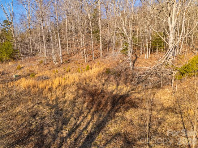 TBD Mystic View Lane, Black Mountain, NC 28711