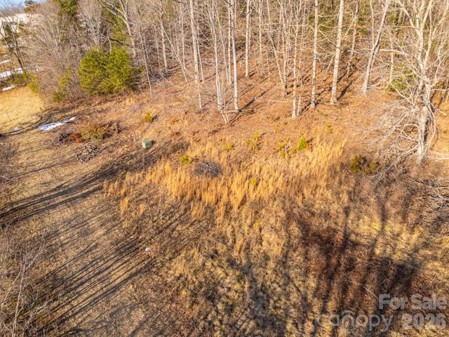 TBD Mystic View Lane, Black Mountain, NC 28711