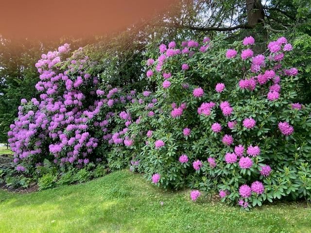 15 Prentiss Way, Exeter, NH 03833