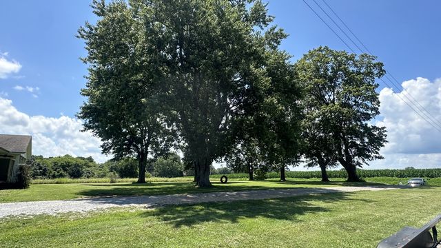 244 Old Jackson Hwy, Loretto, TN 38469