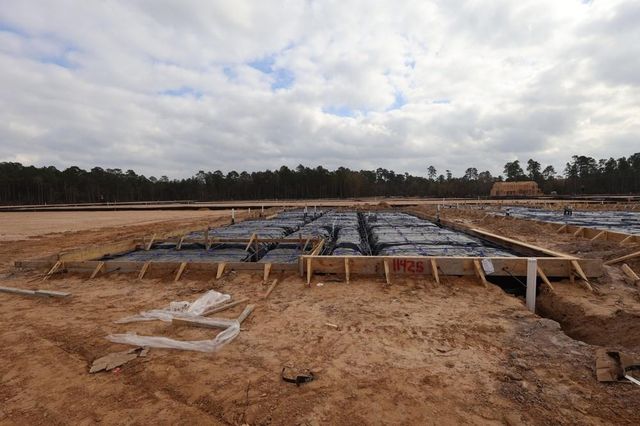 11425 Billy Bobs Street, Montgomery, TX 77354