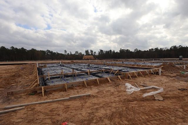 11425 Billy Bobs Street, Montgomery, TX 77354