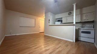 502 West Alabama Street 20, Houston, TX 77006