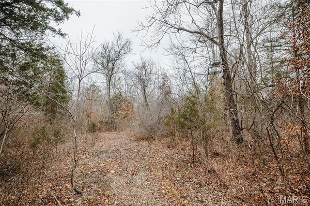 000 Highway C, Annapolis, MO 63620