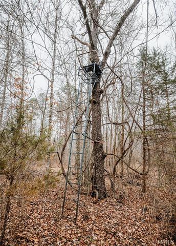 000 Highway C, Annapolis, MO 63620