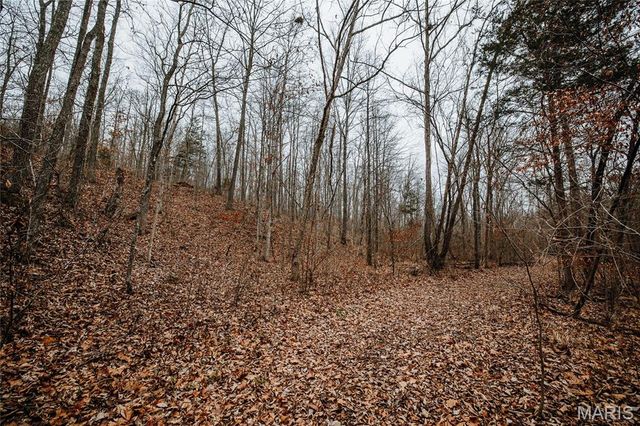 000 Highway C, Annapolis, MO 63620