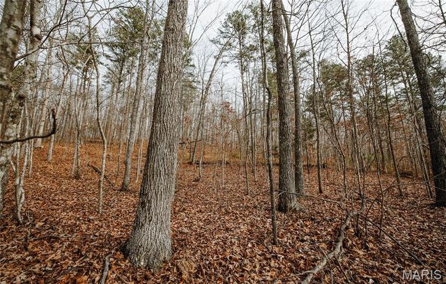 000 Highway C, Annapolis, MO 63620