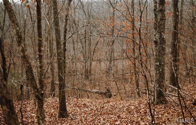 000 Highway C, Annapolis, MO 63620