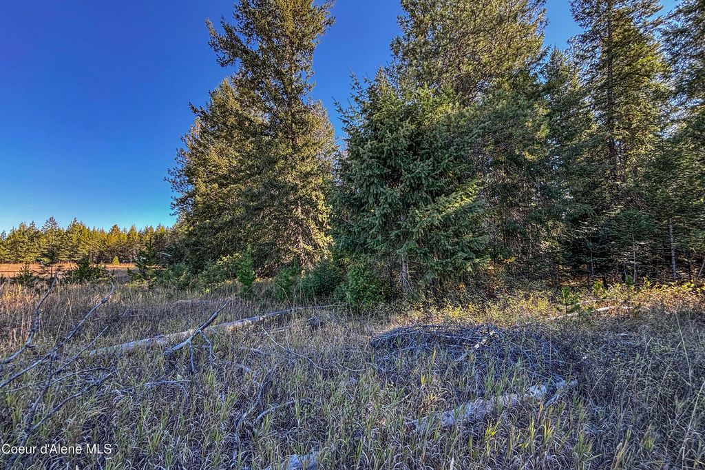 NKA Misty Medow Lane, Athol, ID 83801 photo 5
